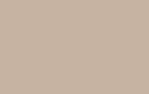 Beige 029